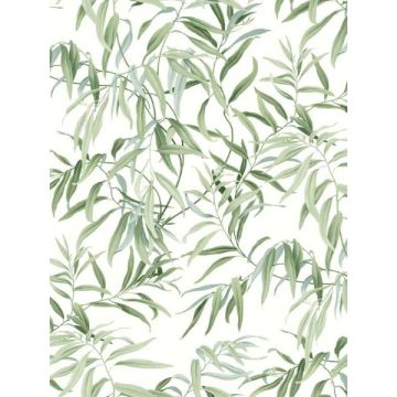 Willow Grove Forest Wallpaper