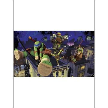 Tmnt Cityscape XL 7 Panel Green Mural