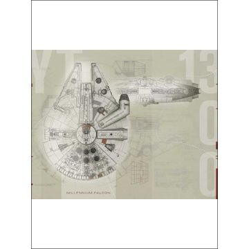 Star Wars Millennium Falcon 5 Panel Beige Mural