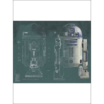 Star Wars R2D2 XL 5 Panel Green Mural