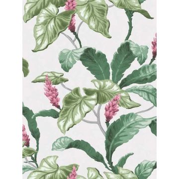 Meridian Parade Tropical Leaves Green Wallpaper