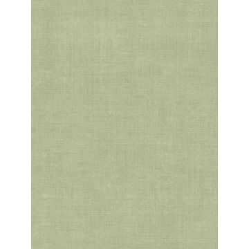 Vava Varlov Light Green Wallpaper