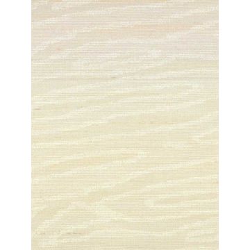 Zambia White Wallpaper