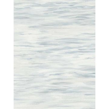 Ripples Grey Wallpaper