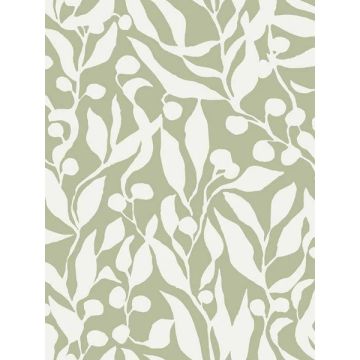 Olive Mill Palm Wallpaper