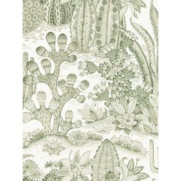 Lotus Land Cacti Palm Wallpaper