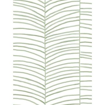Cascade Palm Chevron Palm Wallpaper