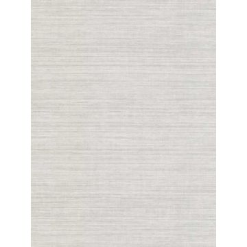 Tasar Silk Grey Wallpaper