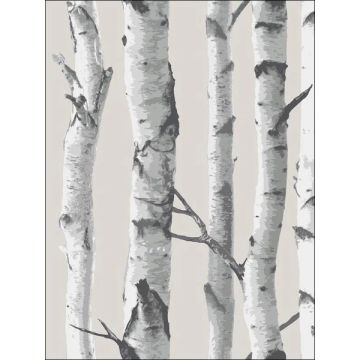 Birch Tree Peel and Stick Neutral Wallpaper