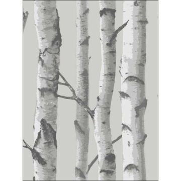 Mountain Birch Peel and Stick Grey Wallpaper