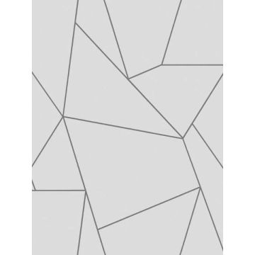 Nazca White and Silver Wallpaper
