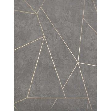 Nazca Dark Grey and Gold Wallpaper