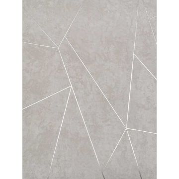 Nazca Light Grey and Silver Wallpaper