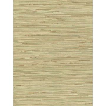 River Grass Green Wallpaper
