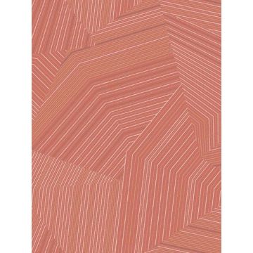 Dotted Maze Desert Red Wallpaper