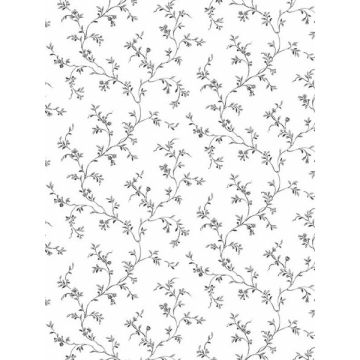 Allisons Trail Grey Black Wallpaper