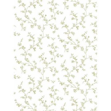 Allisons Trail Olive Wallpaper