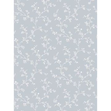 Sienas Trail Blue Choke Wallpaper