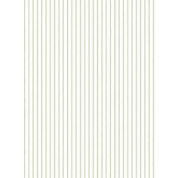 Tailored Stripe Positive Lime Green Wallpaper