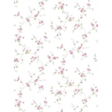 Como Trail Pink Green Blue Wallpaper