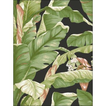 Banana Leaf Peel and Stick Black and Green Wallpaper