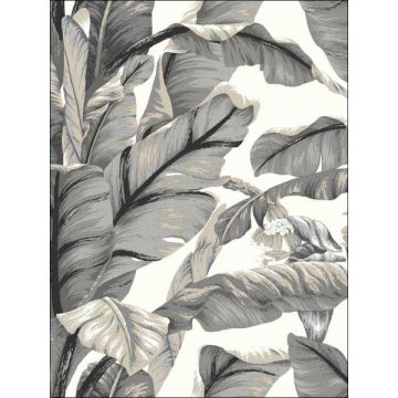 Banana Leaf Peel and Stick White and Black Wallpaper