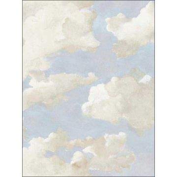 Clouds on Canvas Peel and Stick Blue Wallpaper