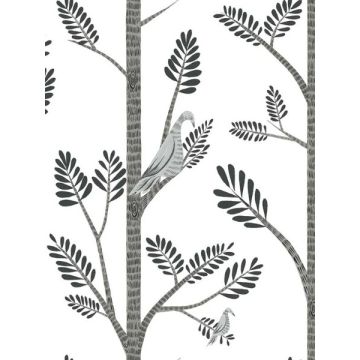Aviary Branch Peel and Stick Grey Wallpaper
