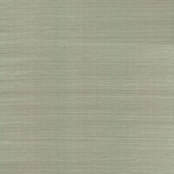 Natural Sisal Grasscloth Peel and Stick Pine Wallpaper