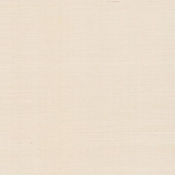 Natural Sisal Grasscloth Peel and Stick Plaster Wallpaper