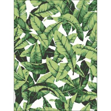 Palm Leaf Peel and Stick Green Wallpaper