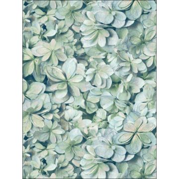 Hydrangea Peel and Stick Green Blue Wallpaper