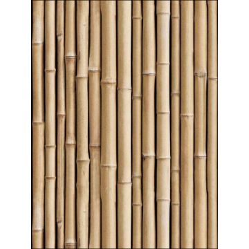 Bamboo Peel and Stick Brown Wallpaper