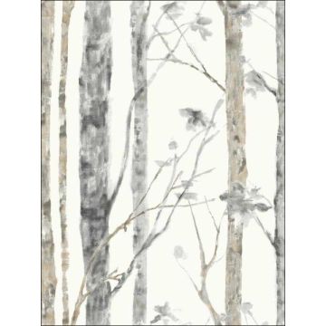 Birch Trees Peel and Stick Off White and Gray Wallpaper