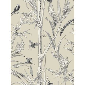 Bambou Toile Beige Wallpaper