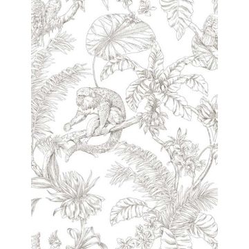 Tropical Sketch Toile Brown Wallpaper