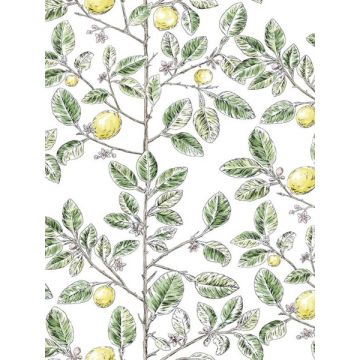 Limoncello Toile Green Wallpaper
