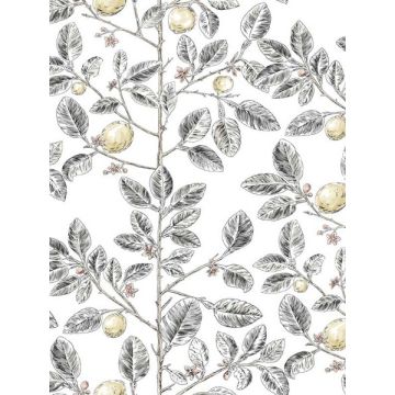Limoncello Toile Black Wallpaper