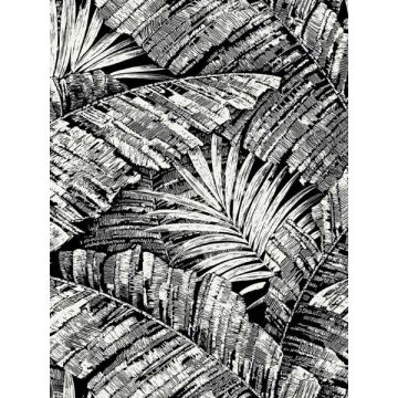 Palm Cove Toile White and Black Wallpaper