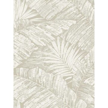 Palm Cove Toile White and Taupe Wallpaper
