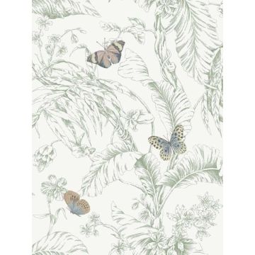 Papillon Blush Wallpaper