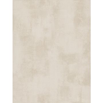 Italian Plaster Plaster Wallpaper