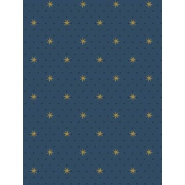 Stella Star Navy Metallic Wallpaper