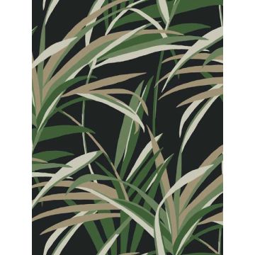 Tropical Paradise Green and Black Wallpaper