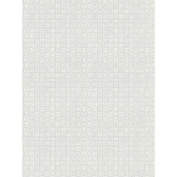 Paradise Island Weave Light Grey Wallpaper