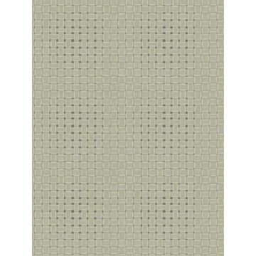 Paradise Island Weave Green Wallpaper