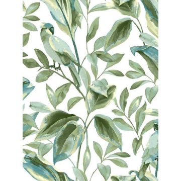 Tropical Love Birds White and Aqua Wallpaper