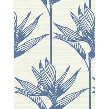 Bird of Paradise Blue Wallpaper