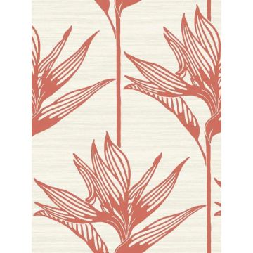 Bird of Paradise Coral Wallpaper