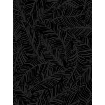 Rainforest Canopy Black Wallpaper